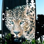 Gabriel Medina Instagram - Pets ready 🐯 🦁 🦬 🦒 = 🇿🇦 @cabiancadesign JBay