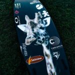 Gabriel Medina Instagram - Pets ready 🐯 🦁 🦬 🦒 = 🇿🇦 @cabiancadesign JBay