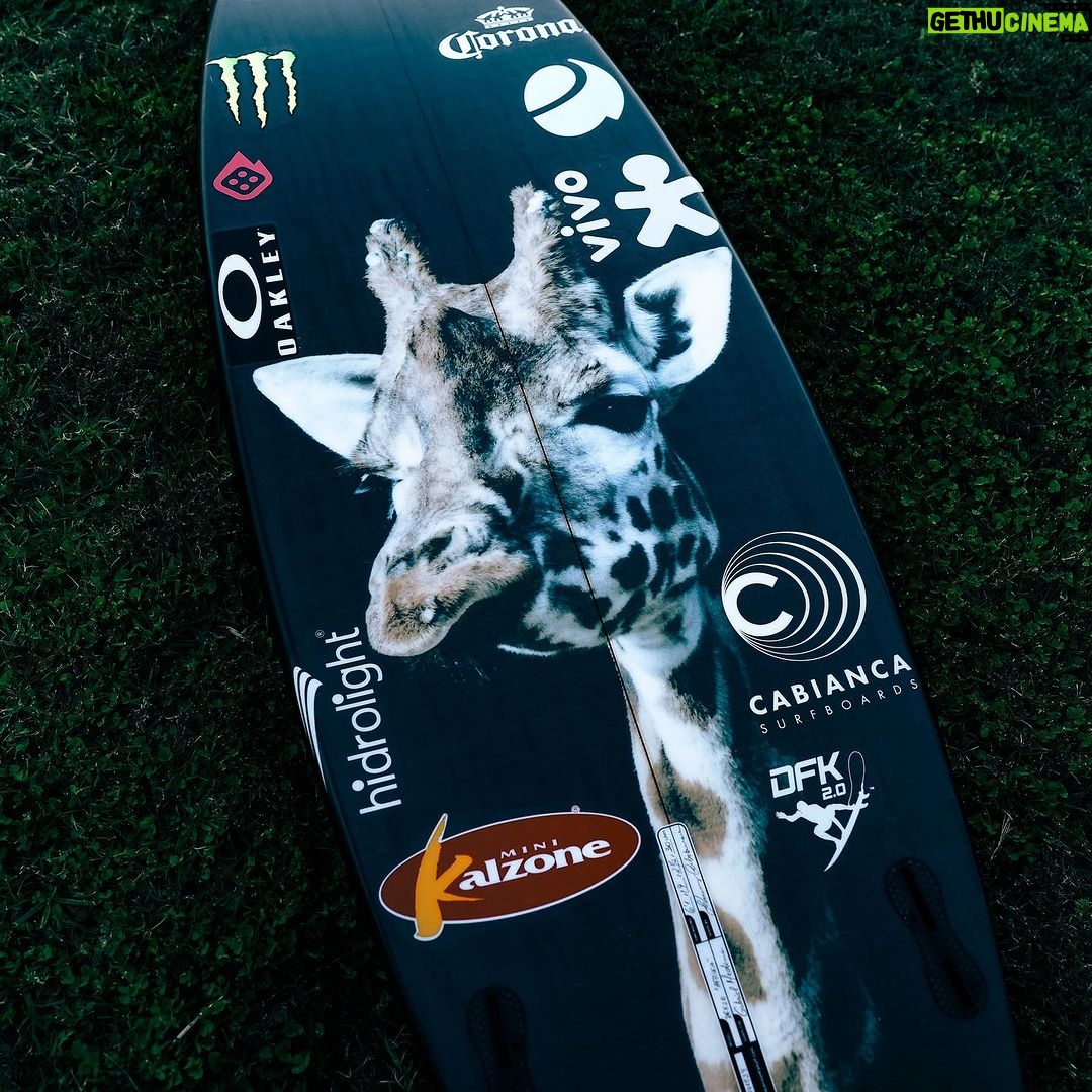 Gabriel Medina Instagram - Pets ready π― π¦ 𦬠π¦ = πΏπ¦ @cabiancadesign JBay