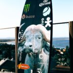 Gabriel Medina Instagram - Pets ready 🐯 🦁 🦬 🦒 = 🇿🇦 @cabiancadesign JBay