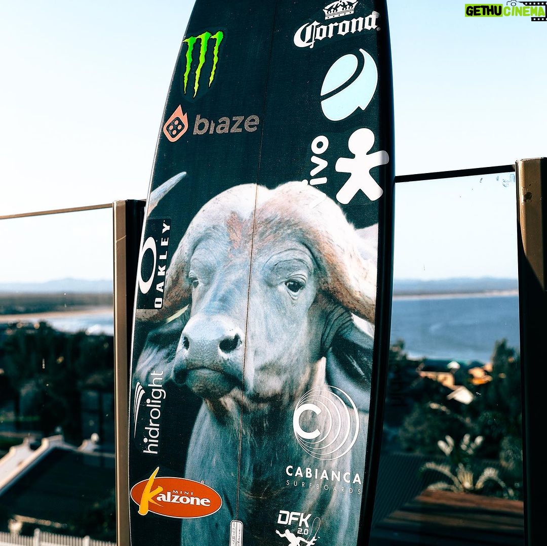 Gabriel Medina Instagram - Pets ready π― π¦ 𦬠π¦ = πΏπ¦ @cabiancadesign JBay