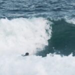 Gabriel Medina Instagram - Dump saqua / @lucasbalbino_