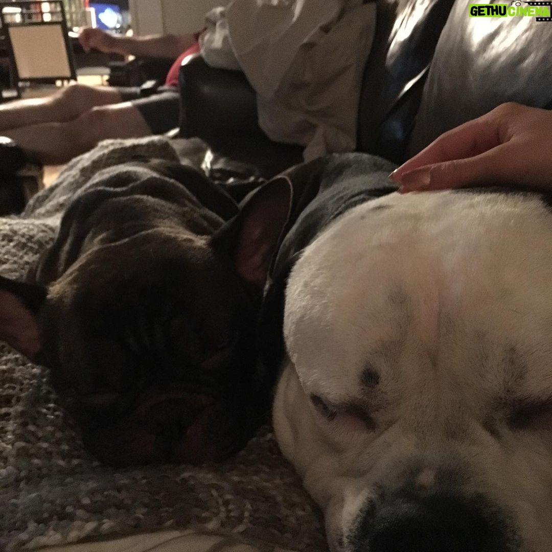 Gabrielle Echols Instagram - Happy national dog day!! 🐶🐶🐶