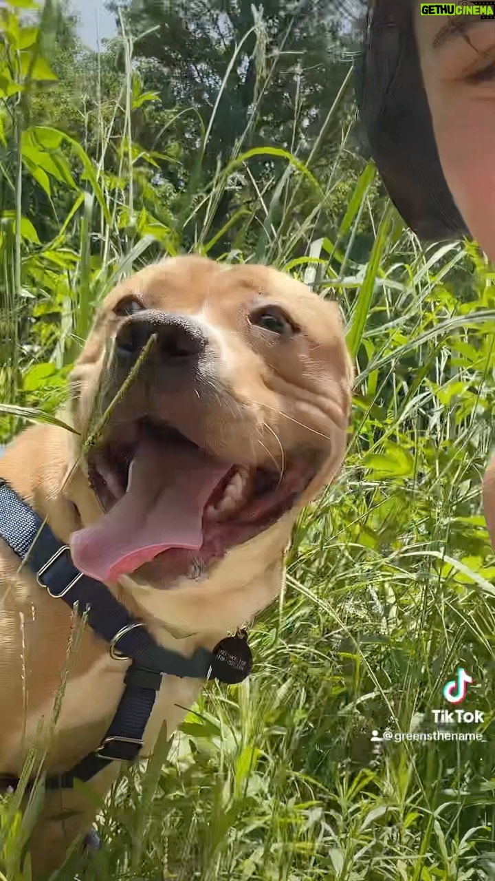 Gabrielle Echols - 12.2K Likes - Baby Badgers first hike! šÆš¶ also you guys should follow me on TikTok if you want to see me make a fool of myself 24/7. It can be quite entertaining lol. #pitbulls #rescuedog