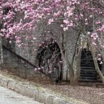 Gabrielle Echols Instagram - Nirvana, Thousand Hills Coffee, Chess, and Cherry Blossoms