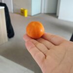Gabrielle Echols Instagram - what a cutie 🍊:) #newzealand #bethellsbeach Auckland, New Zealand