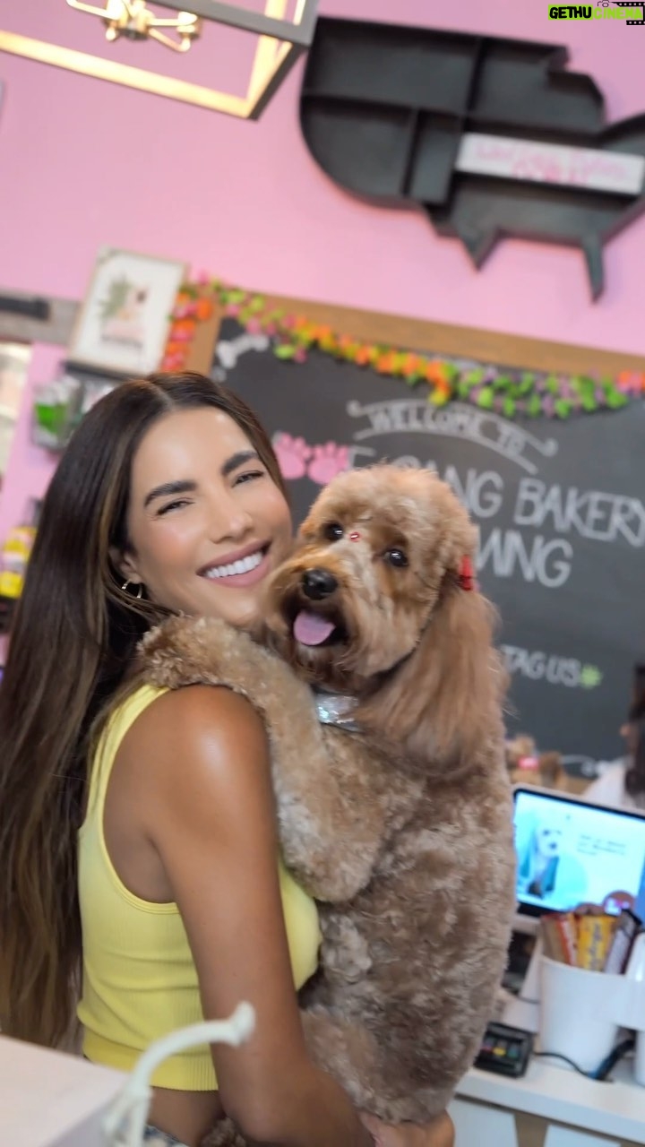 Gaby Espino Instagram - Consintiendo a las reinas de mi casa 🐾 Cookie, Maya y Sophie con los mejores @wgbdoral @groomingwithlaural 🤪 me encantó el grooming que le hicieron, quedaron aún más hermosassss y la tienda es espectacular, tienen de todoooo, ropita, juguetes, snacks saludables y más. Shop.woofgangbakery.com/doral 305-905-4020 Woof Gang Bakery & Grooming Doral