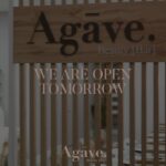 Gaby Espino Instagram - A partir de mañana los espero en @agavebeautybarmiami 🤍🤍🤍 Book Now! Ve a mis stories y swipe up para hacer tu cita!! #TheBeautyBarConcept