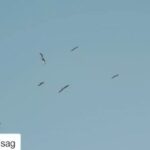 Gani Müjde Instagram - Hayatımda ilk kadınlar kahvesini gördüğüm yerdir Bodrum.Ve Bodrumun kadinları ve gelecekteki kadınları için yapilmiş bu guzel klip