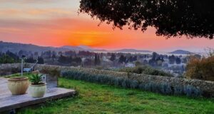 Gani Müjde Instagram - Filtre yok.Gözün gördüğü kadar...Gözün gördüğü yere kadar...
Kızıl bir goncaya benzer dudağın şarkısı eşliğinde al gözüm seyreyle...