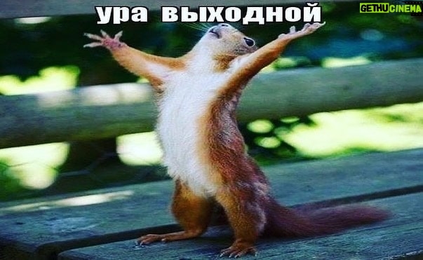 Garik Kharlamov Instagram - Выходной в понедельник
