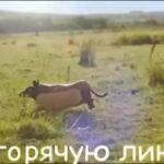 Garik Kharlamov Instagram - Вкусно ебта ))