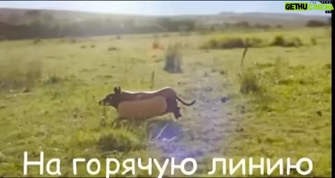 Garik Kharlamov Instagram - Вкусно ебта ))
