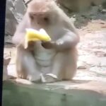 Garik Kharlamov Instagram - Согласен! Понедельник тоже не мой день !