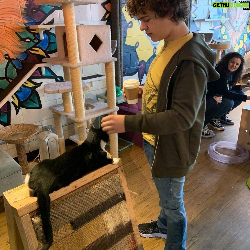 Gaten Matarazzo Instagram - Had a great time enjoying my morning beverage with these fur babies at @javacatscafe They’re all looking for homes, so go take a look ❤️😺 Java Cats ATL