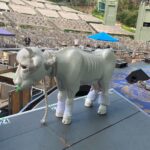 Gaten Matarazzo Instagram - We’ve made it! @hollywoodbowl