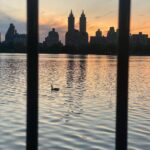 Gavin DeGraw Instagram - Some pictures need no frame. Nice night for a swim.