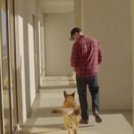 Gavin DeGraw Instagram - Any excuse to post about Buddy, my dog-son.