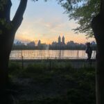 Gavin DeGraw Instagram - Some pictures need no frame. Nice night for a swim.