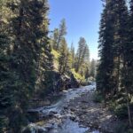 Gavin DeGraw Instagram – Life lately🌲🐾⛰️