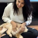 Gayathri Sri Instagram - Thangamee ❤️🐕 Chennai, India