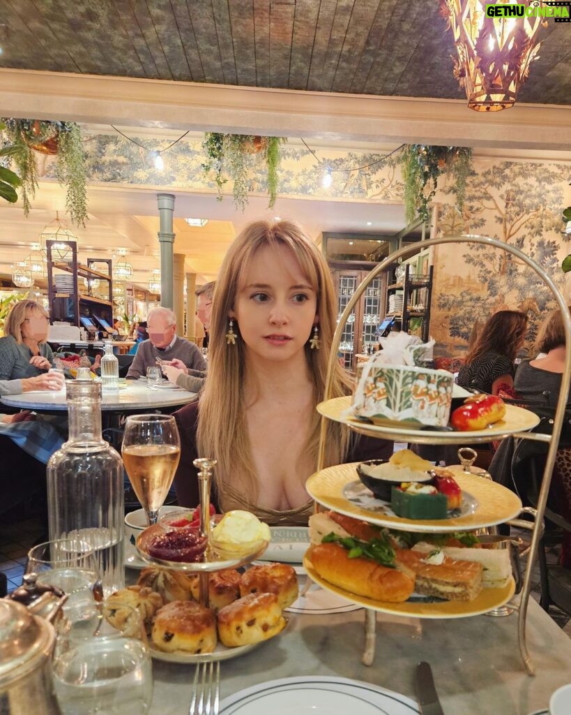 Gemma Louise Instagram - Festive afternoon tea at The Ivy 🥂 The Ivyでのクリスマスのアフタヌーンティー🐻‍❄️ #ロンドン #イギリス #theivy #chelseagarden #london Chelsea Gardens