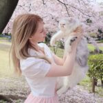 Gemma Louise Instagram - ミミちゃん初めてのさくら！🌸　#桜 #猫 #桜猫 #花見 #ねこ #cats #sakura #ねこすたぐらむ #さくら猫