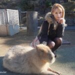 Gemma Louise Instagram - カピバラ露天風呂♨️ 見に行った！ カピバラさんがめっちゃ気持ちよさそうでした。私も入りたかった。。（笑）#カピバラ #カピバラ露天風呂 #capybara #capybaraonsen #izushabotenzoo #伊豆シャボテン動物公園