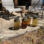 Genevieve Kang Instagram - summer camp and make it @earthseed___ Saltspring Island