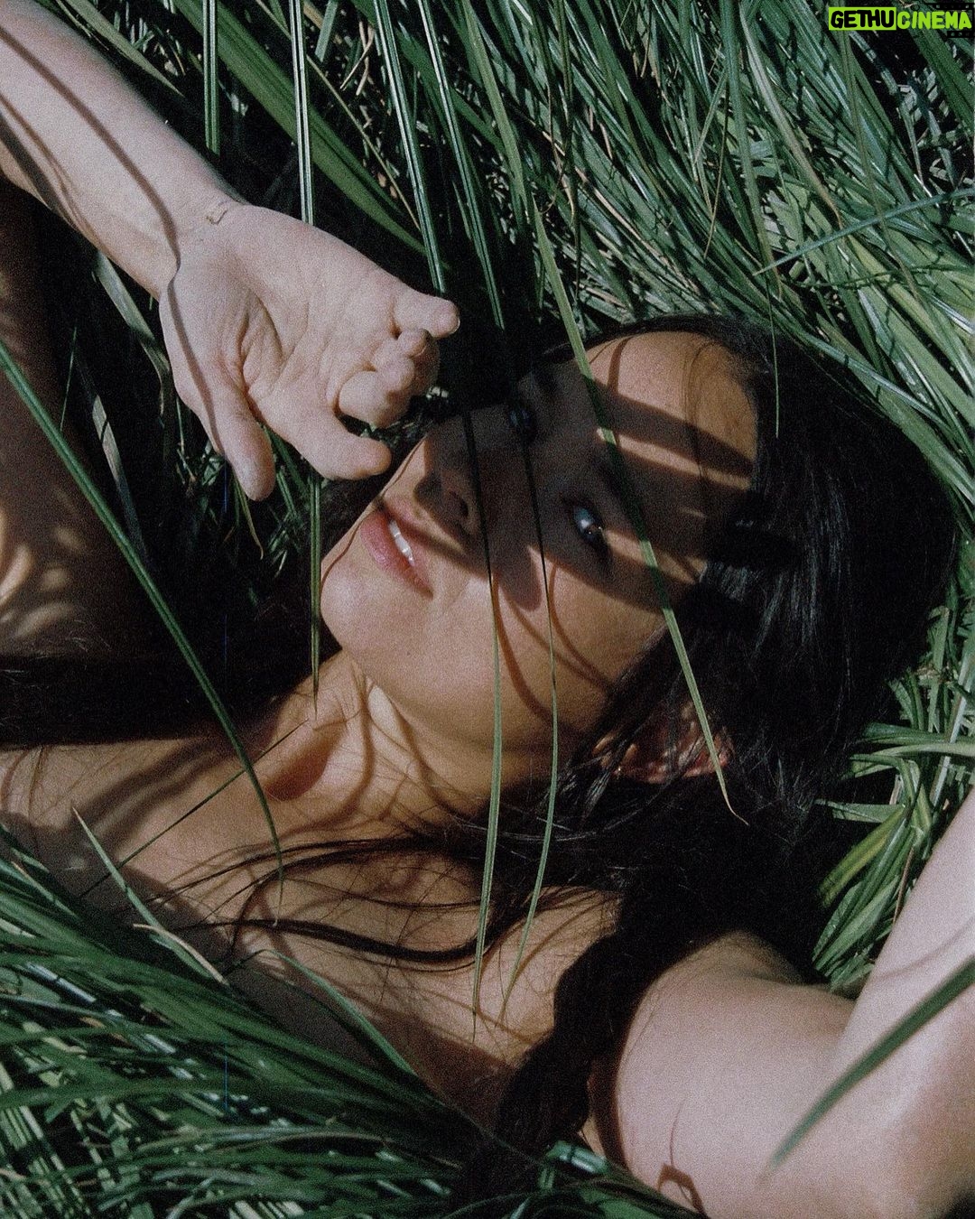 Genevieve Kang - 878 Likes - the tears of our devastation fertilize the soil of our evolution.—Regena Thomashauer, Pussy: A Reclamation / photos by @judiannegrace