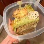 Genevieve Kang Instagram - ‘twas the sunniest of solar returns. bday tradition, year 35—gf lemon pineapple cake w honey walnut cream filling, matcha frosting, pineapple flowers, lotus root, bee pollen, chrysanthemum.