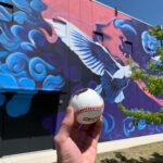 Geoff Ramsey Instagram – These comment leavers scrumped the baseballs that were hit by Geoff so far we couldn’t find them. Set a alarm for FRIDAY APRIL 22nd at 10am cst and head to store.roosterteeth.com to buy your very own baseball and hope to get one signed with Geoff’s signature paint bat! HOME RUN