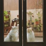 Gina S. Noer Instagram - It's quite rare to find someone who sees the same world you see. - @johngreenwritesbooks 🤍