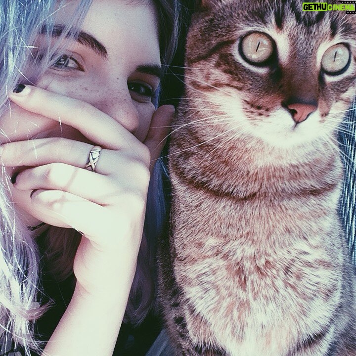 Ginebra Vega Instagram - un gato o una lechuza la respuesta los sorprenderá