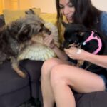 Ginger Gonzaga Instagram - My children, my travel buddies, my on set companions, my snuggle champions. I love them times infinity. 🤍
