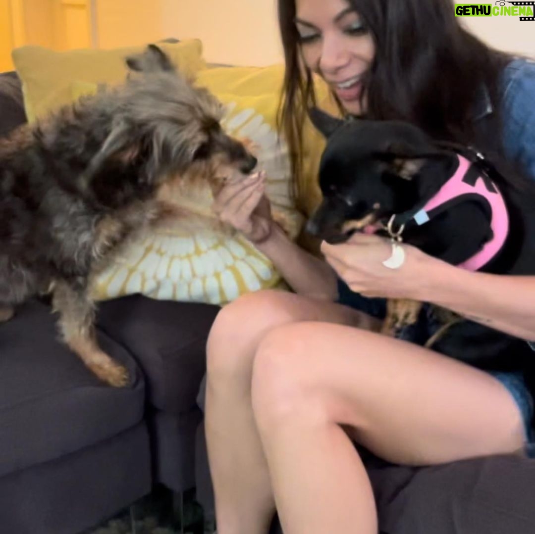 Ginger Gonzaga Instagram - My children, my travel buddies, my on set companions, my snuggle champions. I love them times infinity. 🤍