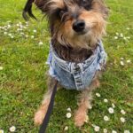 Ginger Gonzaga Instagram - Gambit appreciation post. My first born is almost 15 and he is loved and loved and loved. What gift this lil guy is. So grateful.