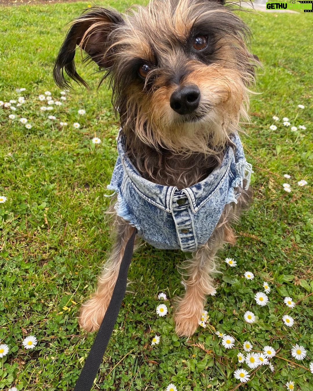 Ginger Gonzaga Instagram - Gambit appreciation post. My first born is almost 15 and he is loved and loved and loved. What gift this lil guy is. So grateful.
