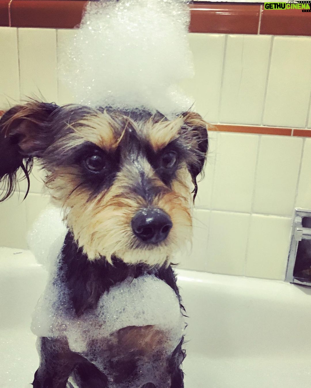 Ginger Gonzaga Instagram - Gambit appreciation post. My first born is almost 15 and he is loved and loved and loved. What gift this lil guy is. So grateful.