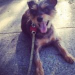 Ginger Gonzaga Instagram - Gambit appreciation post. My first born is almost 15 and he is loved and loved and loved. What gift this lil guy is. So grateful.