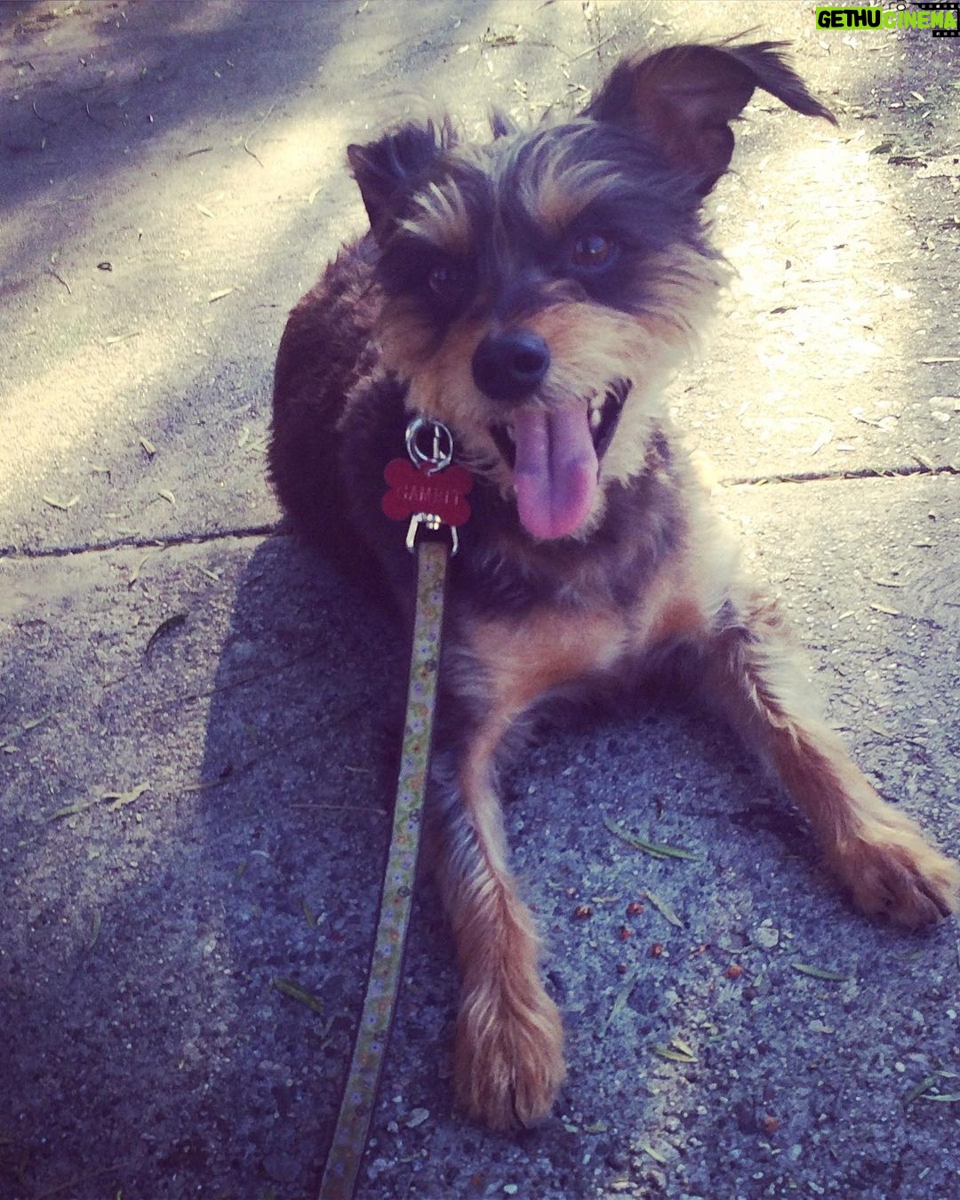Ginger Gonzaga Instagram - Gambit appreciation post. My first born is almost 15 and he is loved and loved and loved. What gift this lil guy is. So grateful.