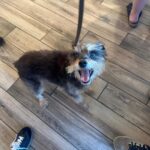 Ginger Gonzaga Instagram - Gambit appreciation post. My first born is almost 15 and he is loved and loved and loved. What gift this lil guy is. So grateful.
