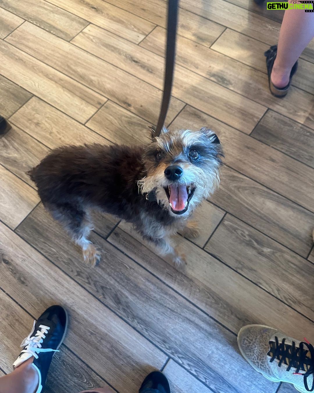 Ginger Gonzaga Instagram - Gambit appreciation post. My first born is almost 15 and he is loved and loved and loved. What gift this lil guy is. So grateful.