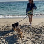 Ginger Gonzaga Instagram - Your week in review with so many peeps I adore. (Ok maybe more than one week squashed together 😘 1-3 @questlove #gamenight 4. #puppies 5. #puppies beach edition 6. #puppies #sagstrike edition 7. #shulkie strike 8. #taylorwilliamson comedy special 9. #blueivy concert 10. #Annabelladidion being funny during my film shoot, and me losing my mind during the edit i so procrastinated and made this silly video instead. #puppies