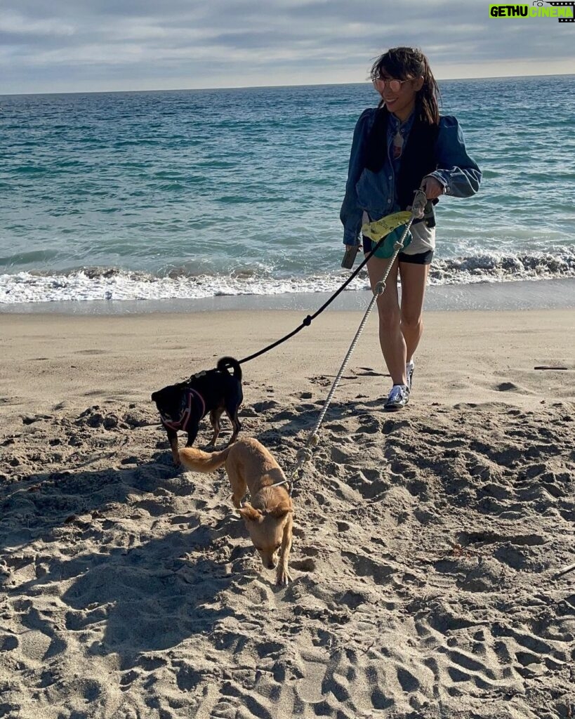 Ginger Gonzaga Instagram - Your week in review with so many peeps I adore. (Ok maybe more than one week squashed together 😘 1-3 @questlove #gamenight 4. #puppies 5. #puppies beach edition 6. #puppies #sagstrike edition 7. #shulkie strike 8. #taylorwilliamson comedy special 9. #blueivy concert 10. #Annabelladidion being funny during my film shoot, and me losing my mind during the edit i so procrastinated and made this silly video instead. #puppies
