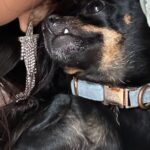 Ginger Gonzaga Instagram - Just my baby loving me. 🥰 Thank you forever @tobiessmalldogrescue