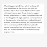 Ginger Gonzaga Instagram - Hi friends. There is a #gofundme link for #brittanywatts in my insta story, highlights and extra link in bio. I reached out to her attorney and requested a Go Fund Me link after learning of her tragic story, and her camp was able to create one with the account going directly to Brittany Watts. Brittany suffered a traumatic miscarriage, and will now be on trial for something that happens to women every day. Women deserve compassion, mental health services and love following such an awful experience riddled with agony and shock. This gofund me will go towards the burden of her unjust #ohio legal expenses, but more importantly, mental health care following not one, but now two public and traumatic ordeals. Please donate and share if you can, even $5 from several people is so powerful! Lots of love and her camp is very grateful and says thank you! If you Re share in your stories- please include the #gofundme link as a sticker! Swipe to see more info. #justiceforbrittany #women #mentalhealth #trauma #misccarriage #women #womensrights #mentalhealthcare #love #compassion