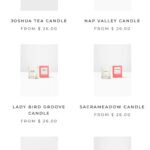Ginger Gonzaga Instagram - 👋🏼 for the Holiday Seasons and gift giving I always like to share the adorable candles and treats sold by the Downtown Women’s Center @dwcweb ! These products help fund career education and other programs to help end homelessness for women! Plus, they are supes cute. The link is in their bio and in my story. #madebydwc