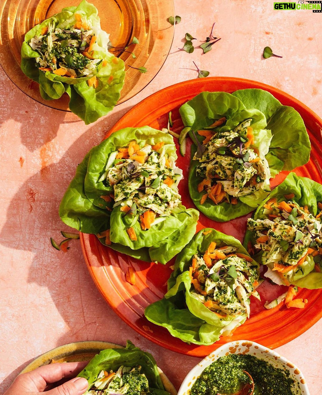 Gisele Bündchen Instagram - I am so excited to announce my new cookbook, Nourish! People are always asking me what I eat and how I stay fit. Great food is something I am passionate about, and it is vital for living a healthy lifestyle. In Nourish, I share my family’s favorite simple, nutritious, and delicious recipes and some self-care rituals that help me so much in my life especially as a busy, working mom. I am happy that I get to share this cookbook with all of you! Hope you enjoy ! Check it out, is now available for preorder and out in March! Link in bio. You can also preorder signed copies 😊 Estou muito animada em anunciar meu livro de receitas, Nourish! As pessoas sempre me perguntam o que eu como e o que faço pra ficar em forma. Sou apaixonada por comida e ela é vital para um estilo de vida saudável. Em Nourish, compartilho as receitas simples, nutritivas e deliciosas da minha família, bem como alguns rituais de autocuidado que me ajudam muito na minha vida, especialmente com a vida corrida de mãe e profissional. Fico feliz em compartilhar esse livro com vocês! Espero que gostem! Confira; agora está disponível para encomenda e será lançado em março! Link na biografia. Você também pode encomendar cópias assinadas.