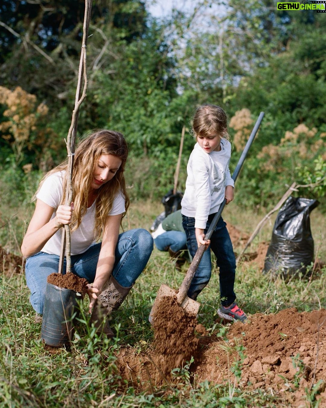Gisele Bündchen Instagram - From planting trees, regenerating springs and depleted soils, and protecting turtles, jaguars … everything impacts nature. The power of nature comes from its diversity, and it depends on it for survival. Every form of life uniquely creates balance on Earth so all of life can flourish. Like with people, our differences are also our strengths, and we get stronger when we work together. Last year, I started a project called Biomes to help regenerate the biodiversity of Brazil. From north to south, east to west, we selected seven projects in different regions of the country. Each biome's species have an important role in nature because everything is connected. Now, together with The Luz Alliance Fund in partnership with @brazilfound on Saturday, May 20th in Miami, we are having a dinner to raise more funds to expand our efforts and have a more significant impact. 💚 Seja através do plantio de árvores, regeneração de nascentes e solos degradados, ou proteção de tartarugas, onças… temos tentado ajudar de diferentes formas, pois tudo impacta a natureza. O poder da natureza vem de sua diversidade e depende dela para sua sobrevivência. Cada forma de vida desempenha um papel especial no equilíbrio da Terra, possibilitando que todas as formas de vida possam prosperar. Assim como acontece com as pessoas, nossas diferenças também são nossos pontos fortes, e ficamos mais fortes quando trabalhamos juntos. No ano passado, iniciei um projeto chamado Biomas para ajudar a regenerar a biodiversidade do Brasil. De norte a sul, de leste a oeste, selecionamos 7 projetos em diferentes regiões do país porque sabemos da importância que cada bioma tem no todo, pois tudo está interligado. Agora, juntamente com @brazilfound, no dia 20 de maio, em Miami, teremos um jantar para arrecadar mais fundos para que possamos ampliar nossos esforços e ter um impacto ainda maior.
